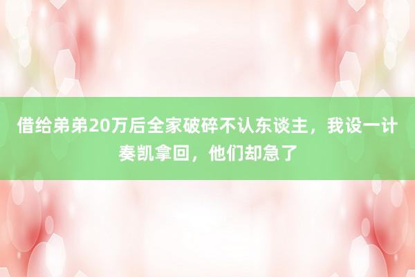 借给弟弟20万后全家破碎不认东谈主，我设一计奏凯拿回，他们却急了