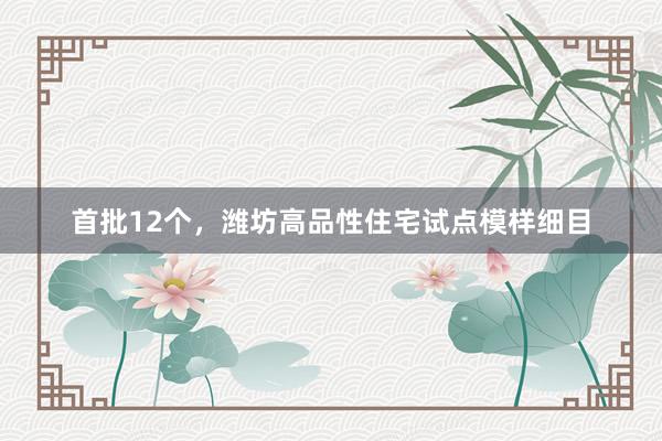 首批12个，潍坊高品性住宅试点模样细目