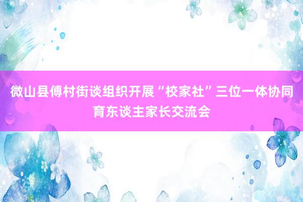 微山县傅村街谈组织开展“校家社”三位一体协同育东谈主家长交流会