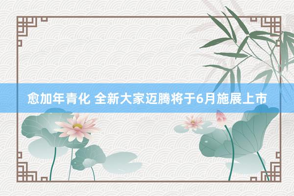 愈加年青化 全新大家迈腾将于6月施展上市