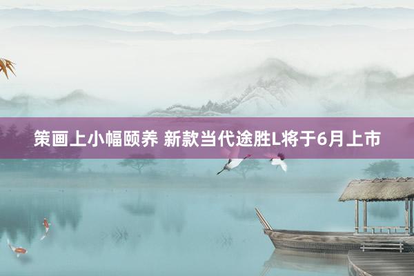 策画上小幅颐养 新款当代途胜L将于6月上市