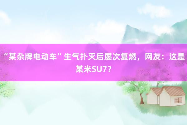 “某杂牌电动车”生气扑灭后屡次复燃，网友：这是某米SU7？