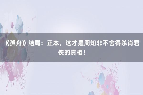 《孤舟》结局：正本，这才是周知非不舍得杀肖君侠的真相！