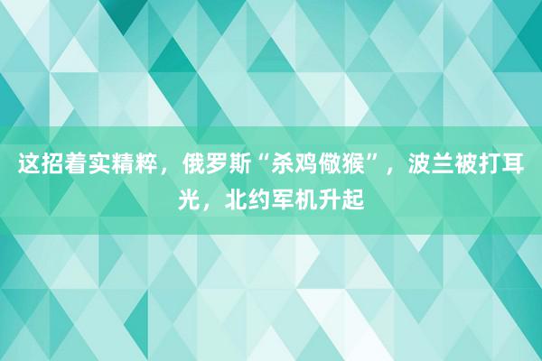 这招着实精粹，俄罗斯“杀鸡儆猴”，波兰被打耳光，北约军机升起