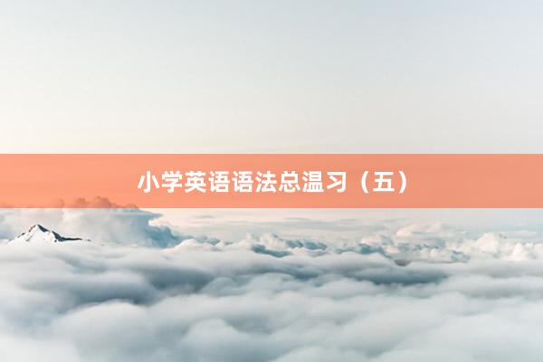 小学英语语法总温习（五）