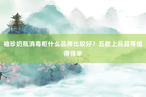 袖珍奶瓶消毒柜什么品牌比较好？五款上品超等值得保举